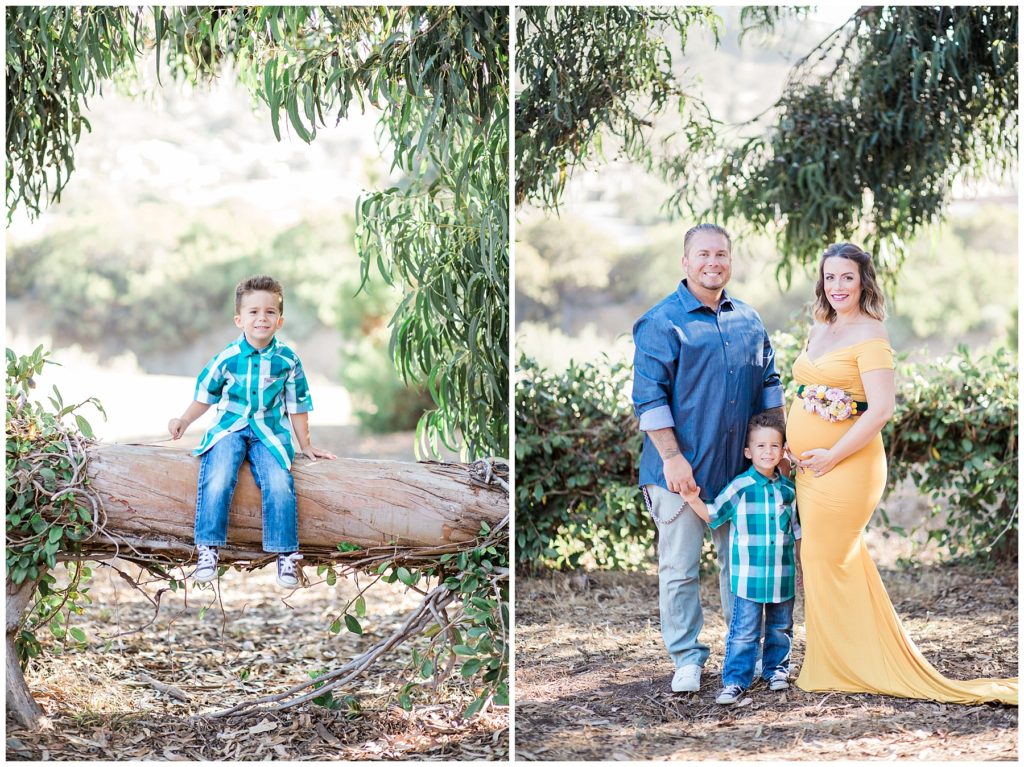 Maternity and Family Photography