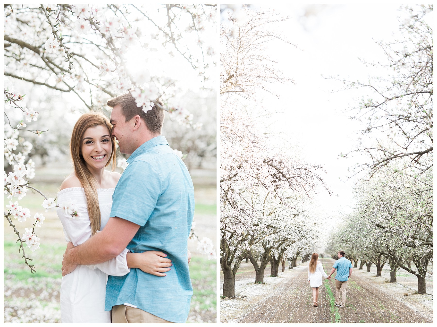Almond Blossom Engagement Photography