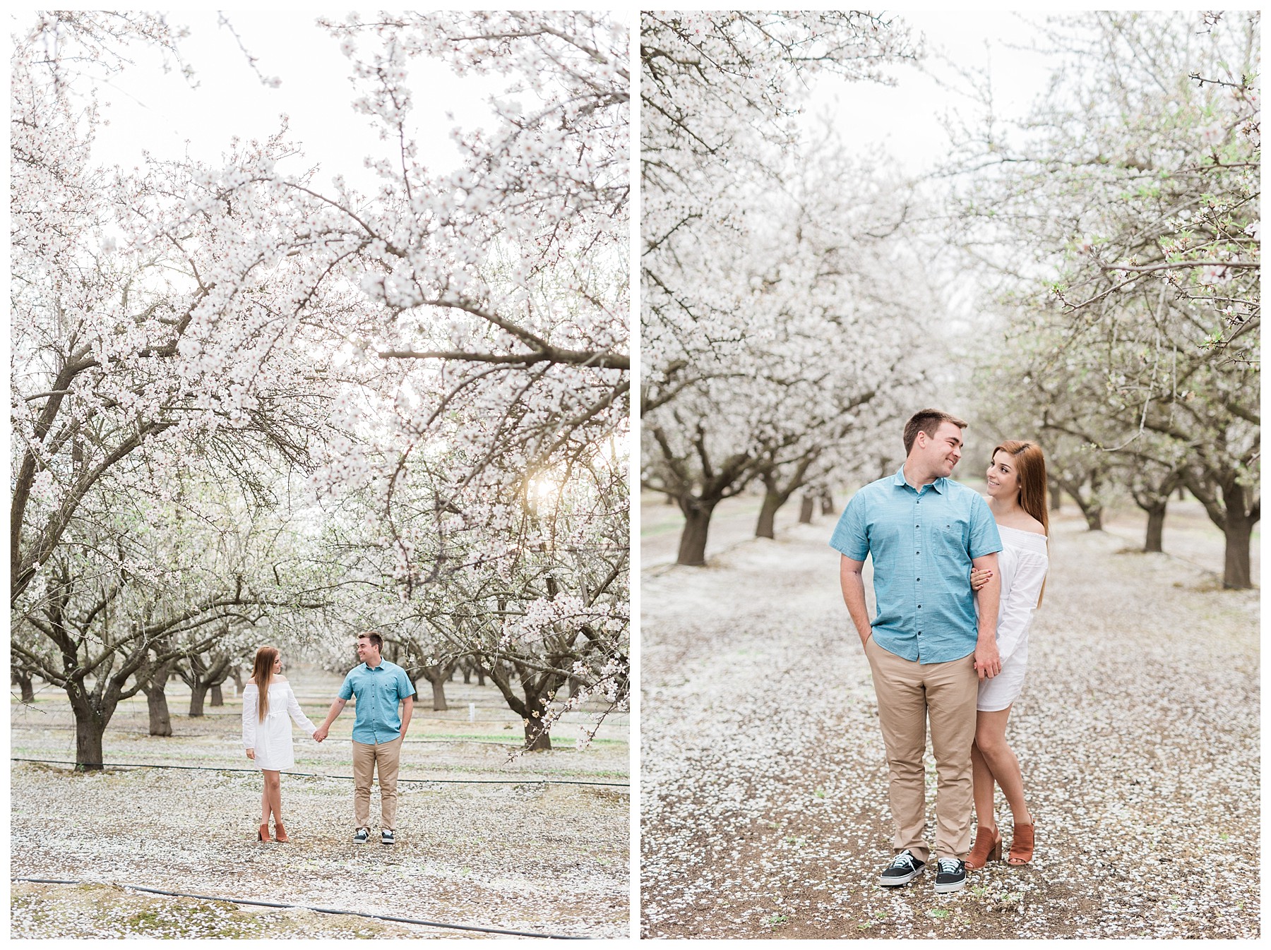 Almond Blossom Engagement Photography